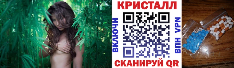 Amphetamine Premium Сургут